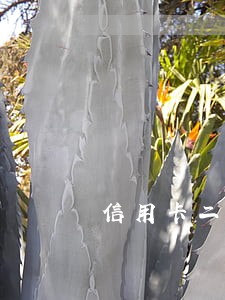 信用卡二次逾期后果
