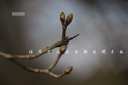 信用卡二次逾期说明怎么写 信用卡二次逾期说明怎么写