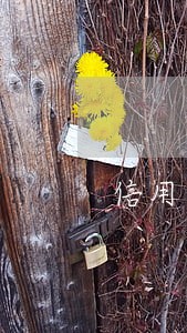 信用卡二百多元逾期 信用卡二百多元逾期