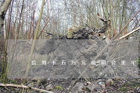 信用卡五万元逾期会坐牢吗 信用卡五万元逾期会坐牢吗