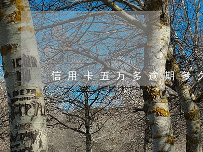 信用卡五万多逾期多久会上征信 信用卡五万多逾期多久会上征信