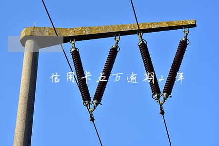 信用卡五万逾期2年 信用卡五万逾期2年