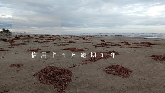 信用卡五万逾期8年