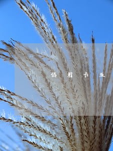 信用卡五万逾期一个月会上门吗 信用卡五万逾期一个月会上门吗