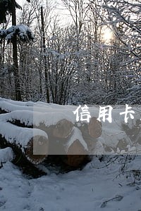 信用卡五万逾期两年的理由 信用卡五万逾期两年的理由