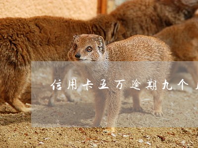 信用卡五万逾期九个月 信用卡五万逾期九个月