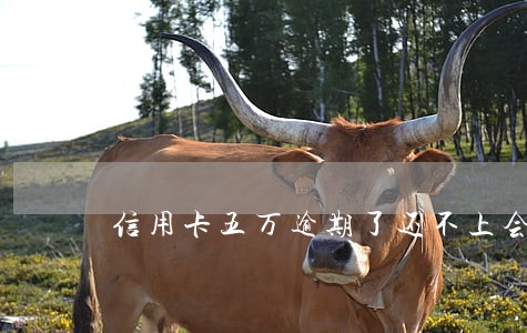 信用卡五万逾期了还不上会坐牢吗
