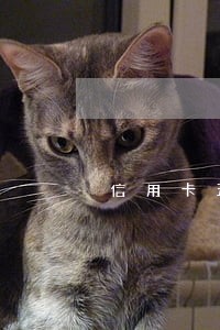 信用卡五万逾期五年会还多少 信用卡五万逾期五年会还多少