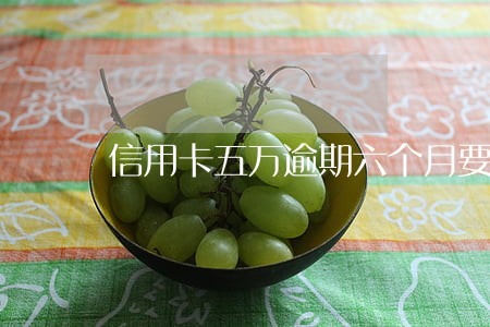 信用卡五万逾期六个月要还多少