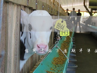 信用卡五万逾期半年会坐牢吗 信用卡五万逾期半年会坐牢吗