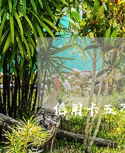 信用卡五万逾期够立案吗