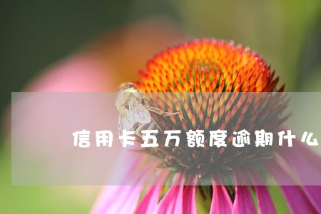 信用卡五万额度逾期什么后果