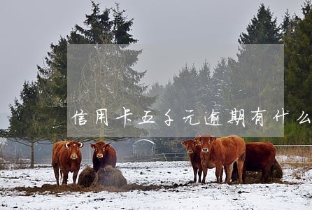 信用卡五千元逾期有什么后果