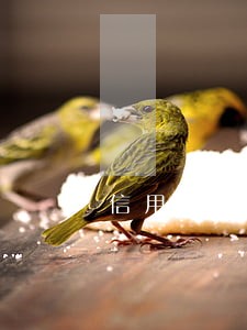 信用卡五千块逾期半年会怎样 信用卡五千块逾期半年会怎样