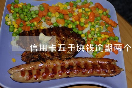 信用卡五千块钱逾期两个月了 信用卡五千块钱逾期两个月了