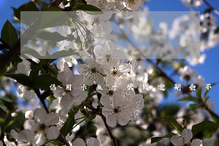 信用卡五千块钱逾期会不会坐牢 信用卡五千块钱逾期会不会坐牢