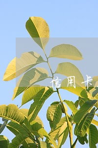 信用卡五千多逾期三个月 信用卡五千多逾期三个月