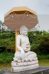 信用卡五千逾期一年会怎么样 信用卡五千逾期一年会怎么样