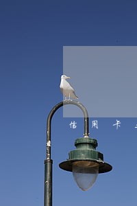 信用卡五千逾期二月应还多少 信用卡五千逾期二月应还多少
