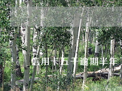 信用卡五千逾期半年了 信用卡五千逾期半年了