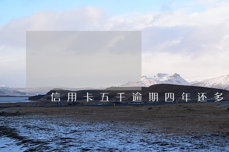 信用卡五千逾期四年还多少 信用卡五千逾期四年还多少