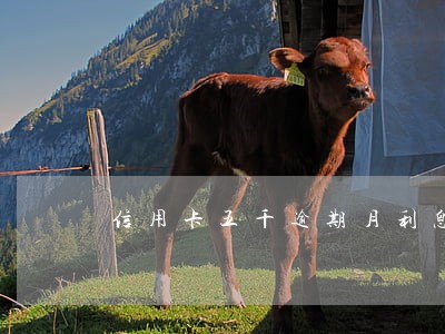 信用卡五千逾期月利息四百正常吗