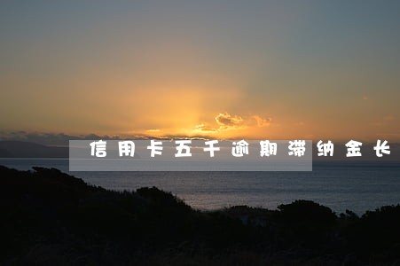 信用卡五千逾期滞纳金长到一万了 信用卡五千逾期滞纳金长到一万了