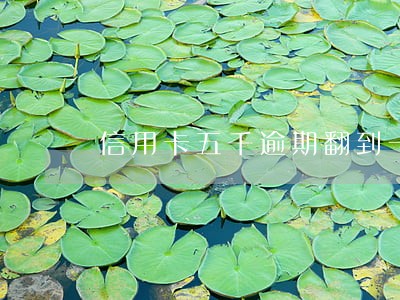 信用卡五千逾期翻到一万二 信用卡五千逾期翻到一万二