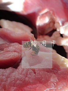 信用卡五千额度逾期两年会怎样 信用卡五千额度逾期两年会怎样