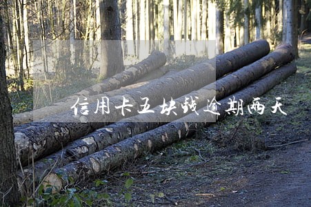 信用卡五块钱逾期两天