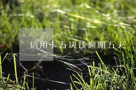 信用卡五块钱逾期五天