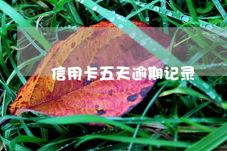 信用卡五天逾期记录