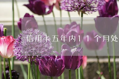 信用卡五年内11个月处于逾期 信用卡五年内11个月处于逾期