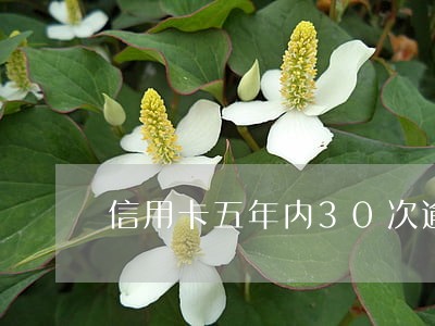信用卡五年内30次逾期 信用卡五年内30次逾期
