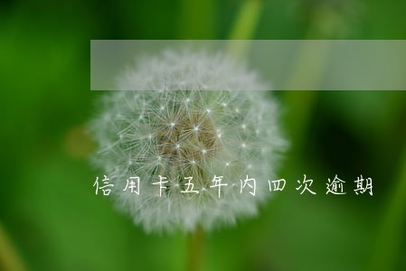 信用卡五年内四次逾期