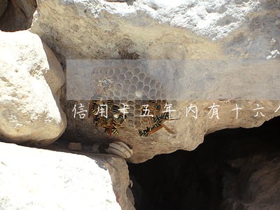 信用卡五年内有十六个月处于逾期