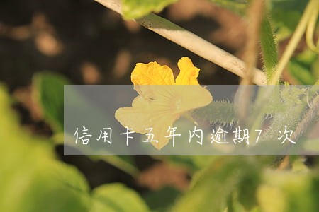 信用卡五年内逾期7次 信用卡五年内逾期7次