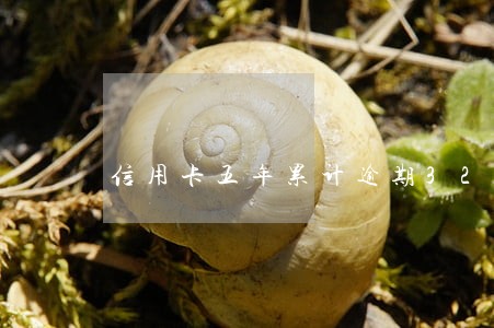 信用卡五年累计逾期32 信用卡五年累计逾期32