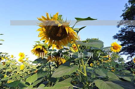 信用卡五年逾期7次 信用卡五年逾期7次