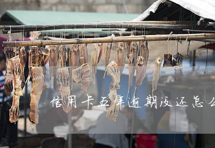 信用卡五年逾期没还怎么办