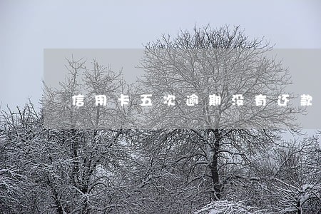 信用卡五次逾期没有还款信息 信用卡五次逾期没有还款信息