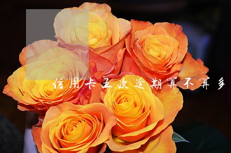 信用卡五次逾期算不算多 信用卡五次逾期算不算多