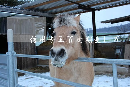 信用卡五百逾期变1万 信用卡五百逾期变1万