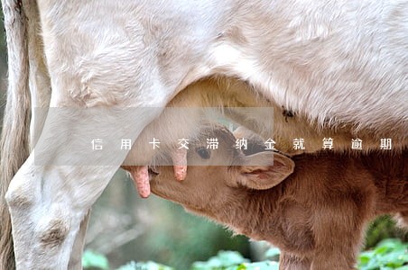 信用卡交滞纳金就算逾期吗 信用卡交滞纳金就算逾期吗