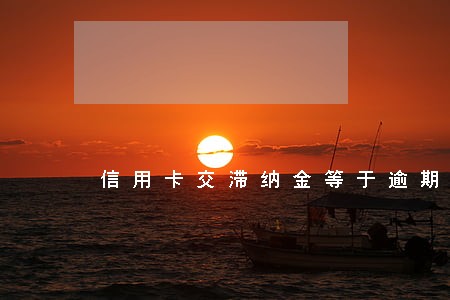 信用卡交滞纳金等于逾期吗 信用卡交滞纳金等于逾期吗