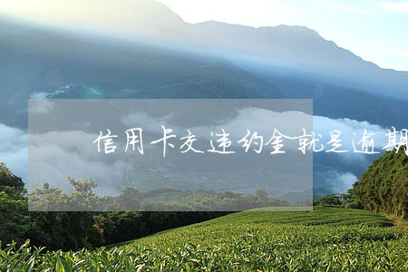 信用卡交违约金就是逾期了么