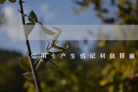 信用卡产生借记利息算逾期吗 信用卡产生借记利息算逾期吗