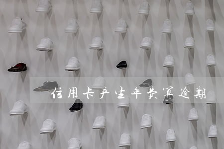 信用卡产生年费算逾期 信用卡产生年费算逾期