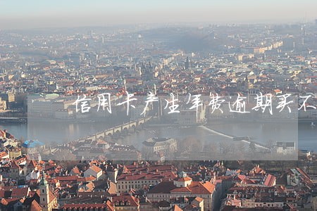 信用卡产生年费逾期买不了房 信用卡产生年费逾期买不了房