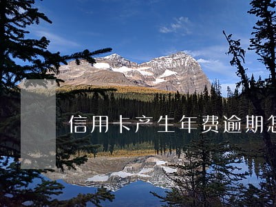 信用卡产生年费逾期怎么办 信用卡产生年费逾期怎么办